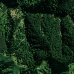 Satellite imagery of L RATA, NZ