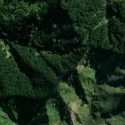 Satellite imagery of L RATA, NZ