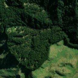 Satellite imagery of L RATA, NZ