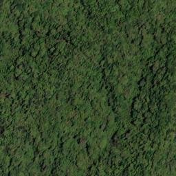 Satellite imagery of 11083, NZ