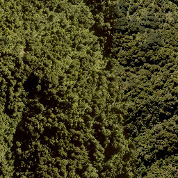 Satellite imagery of WHIRINAKI, NZ