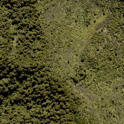 Satellite imagery of WHIRINAKI, NZ