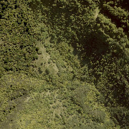 Satellite imagery of WHIRINAKI, NZ