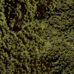 Satellite imagery of WHIRINAKI, NZ