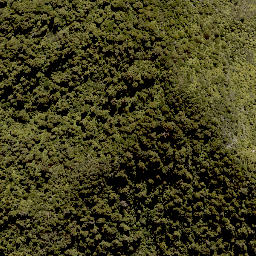Satellite imagery of WHIRINAKI, NZ