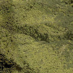 Satellite imagery of WHIRINAKI, NZ