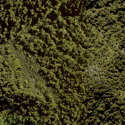 Satellite imagery of WHIRINAKI, NZ