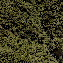 Satellite imagery of WHIRINAKI, NZ