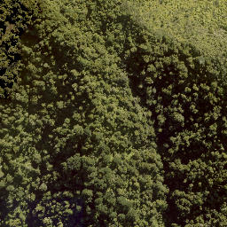 Satellite imagery of WHIRINAKI, NZ