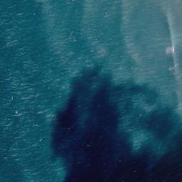 Satellite imagery of Cape Egmont, NZ