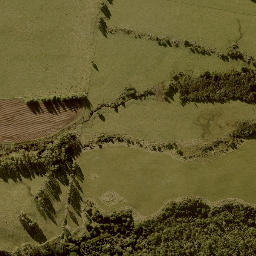 Satellite imagery of POKAKA, NZ