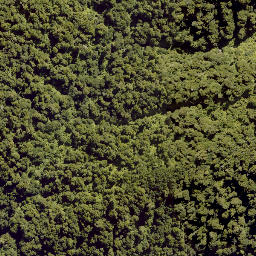 Satellite imagery of PEHU, NZ