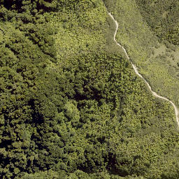 Satellite imagery of PEHU, NZ