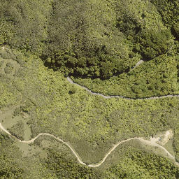 Satellite imagery of PEHU, NZ