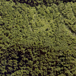 Satellite imagery of PEHU, NZ