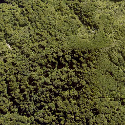 Satellite imagery of PEHU, NZ