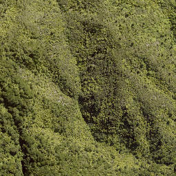 Satellite imagery of PEHU, NZ