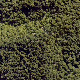 Satellite imagery of PEHU, NZ
