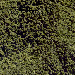 Satellite imagery of PEHU, NZ