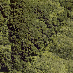 Satellite imagery of PEHU, NZ