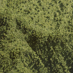 Satellite imagery of B MT HUMPHRIES, NZ