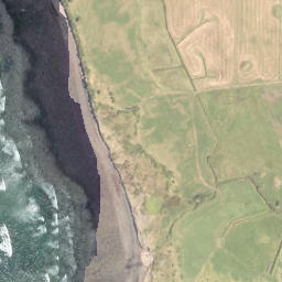 Satellite imagery of A NO 2, NZ