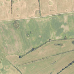 Satellite imagery of A NO 2, NZ