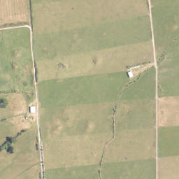 Satellite imagery of A NO 2, NZ