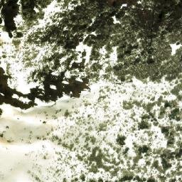 Satellite imagery of Cerro Malalco, AR