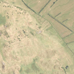 Satellite imagery of A NO 2, NZ