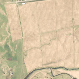 Satellite imagery of A NO 2, NZ