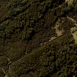 Satellite imagery of HOROPITO, NZ