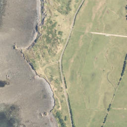Satellite imagery of C NO 2, NZ