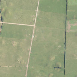 Satellite imagery of C NO 2, NZ