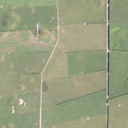 Satellite imagery of C NO 2, NZ
