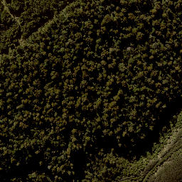 Satellite imagery of TAONUI, NZ