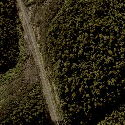 Satellite imagery of TAONUI, NZ