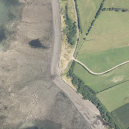 Satellite imagery of C NO 2, NZ