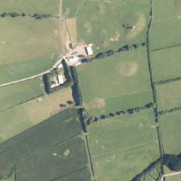 Satellite imagery of C NO 2, NZ