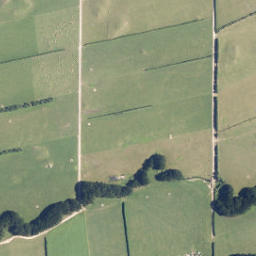 Satellite imagery of C NO 2, NZ