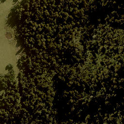 Satellite imagery of TAONUI, NZ