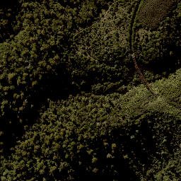 Satellite imagery of TAONUI, NZ