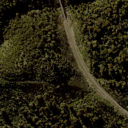 Satellite imagery of TAONUI, NZ