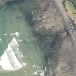 Satellite imagery of C NO 2, NZ