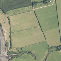 Satellite imagery of C NO 2, NZ