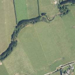 Satellite imagery of C NO 2, NZ