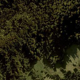 Satellite imagery of TAONUI, NZ