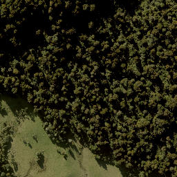 Satellite imagery of TAONUI, NZ