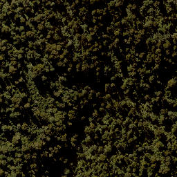 Satellite imagery of TAONUI, NZ