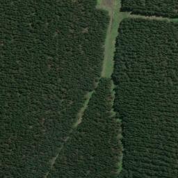 Satellite imagery of XLIV, NZ